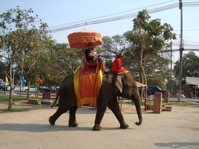 Slon je symbolem štěstí