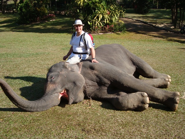 Slon je symbolem štěstí. Budete si moci udělat fotku se sloním krasavcem:-).