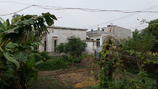 Z otcovy zahrady ve Vũ Tây ochutnáme plno ovoce a bylinek. 